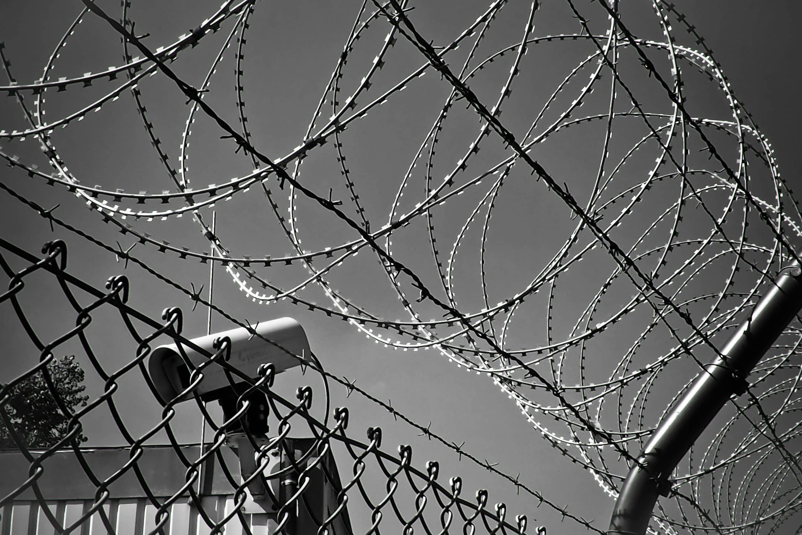 Migration challenges - legal responses