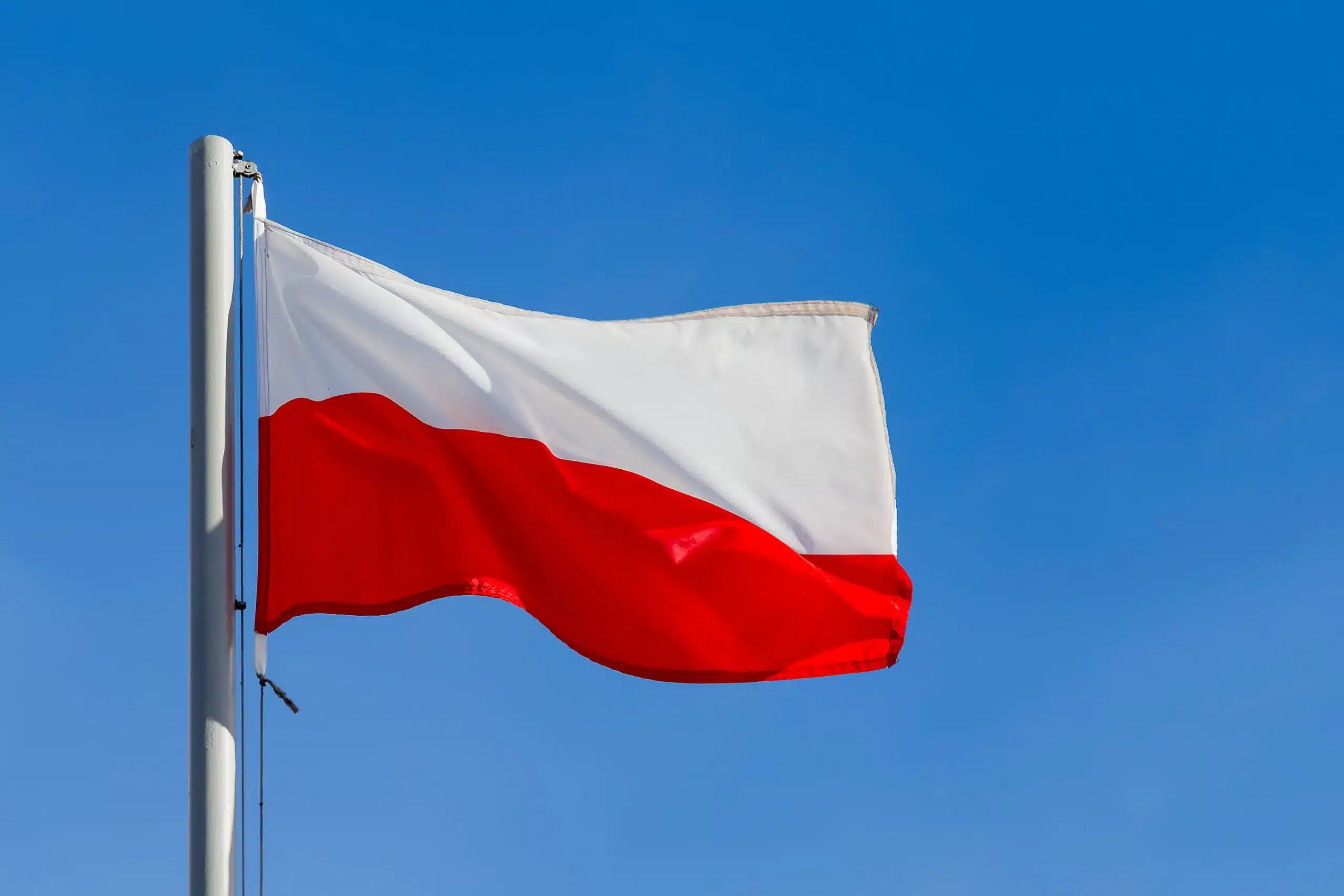 Polish flag