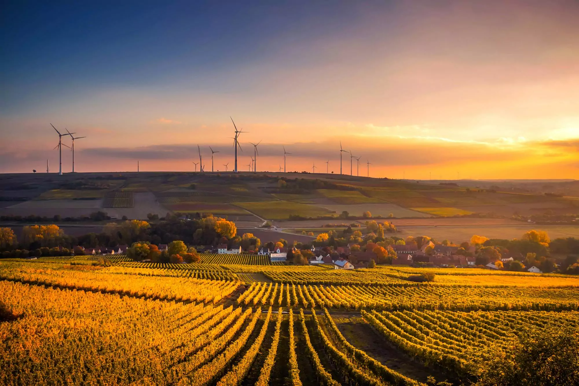 Right to information of environmental matters: is it overregulated or underregulated?