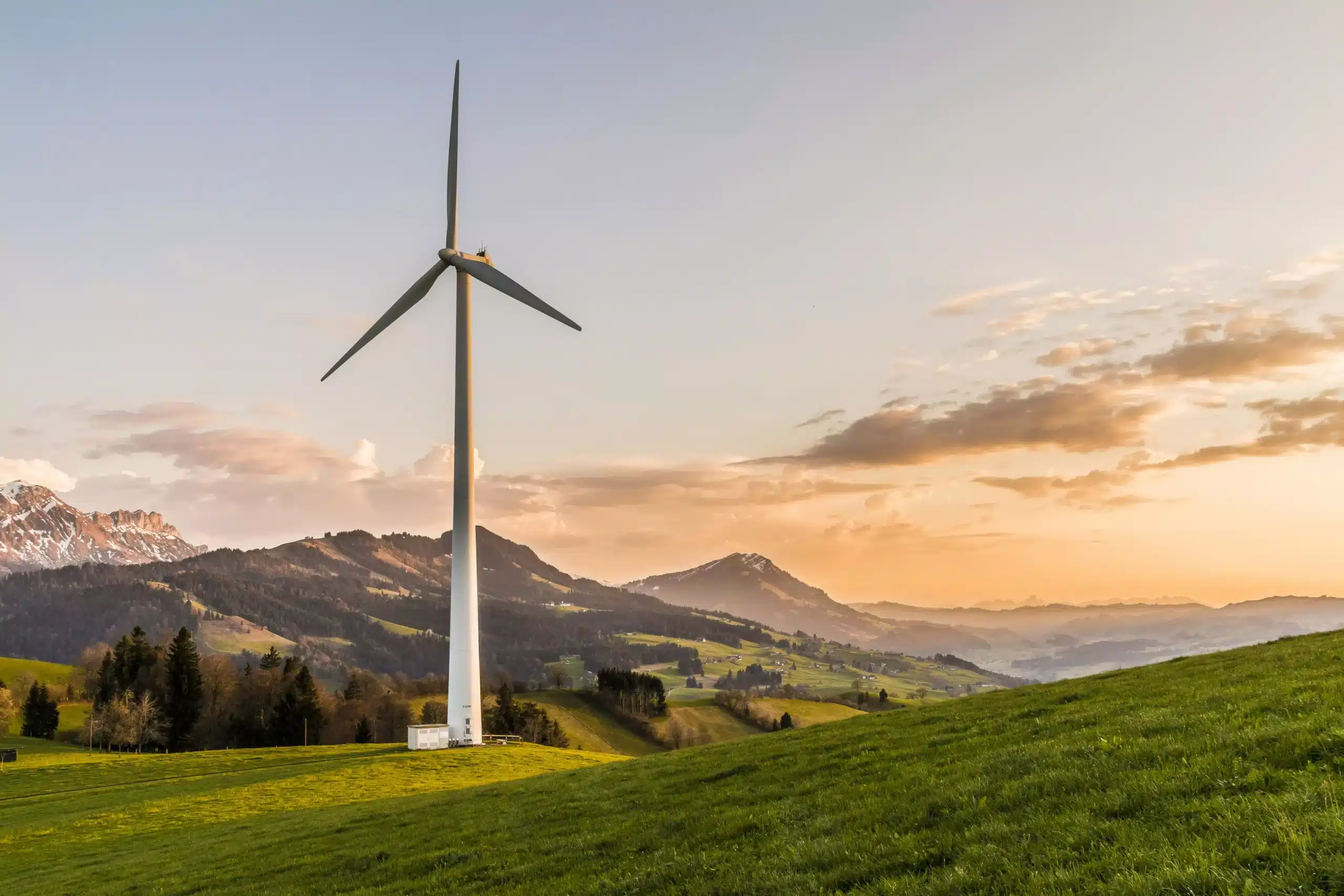 Ecological Tools in Tax Law