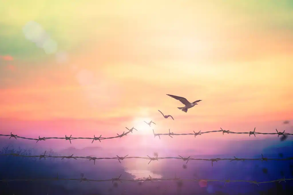 The protection of religious freedom