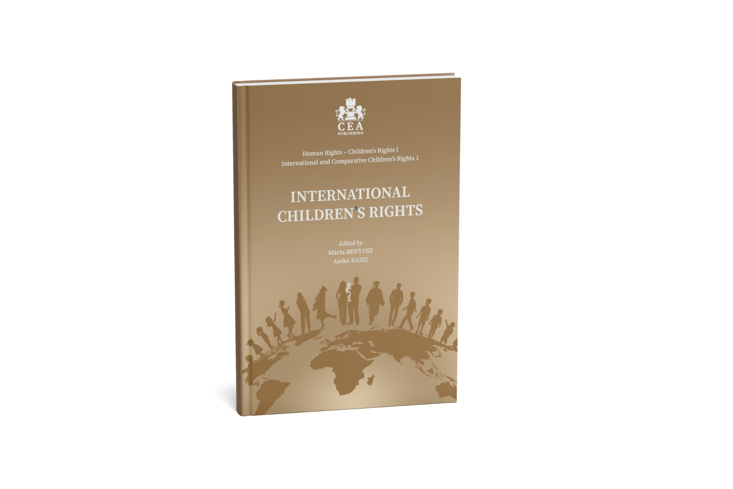 Book cover: International Human Rights Issues