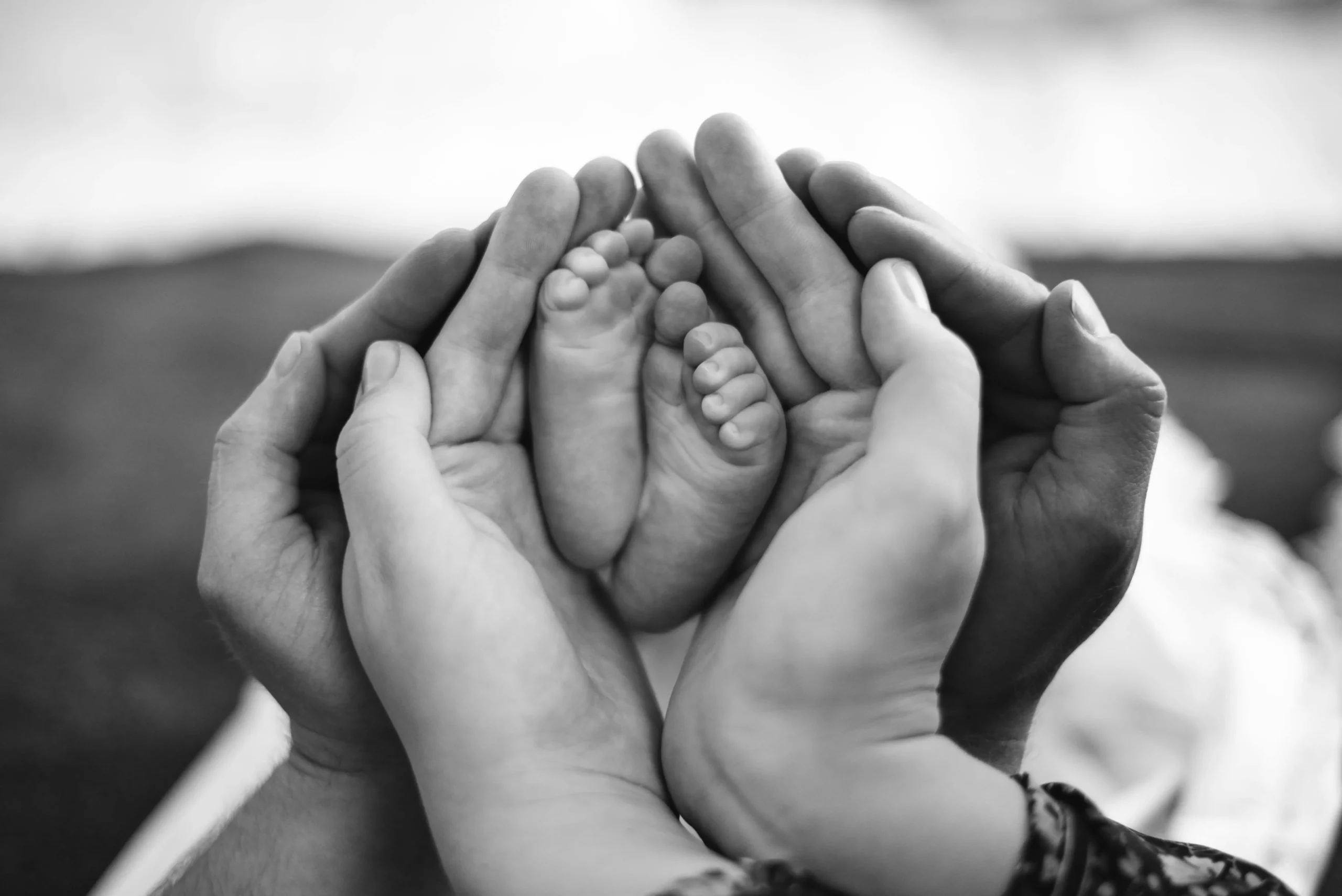 Black and white photo: baby feet held in adult hands
