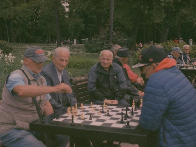 Idősek sakkot játszanak parkban